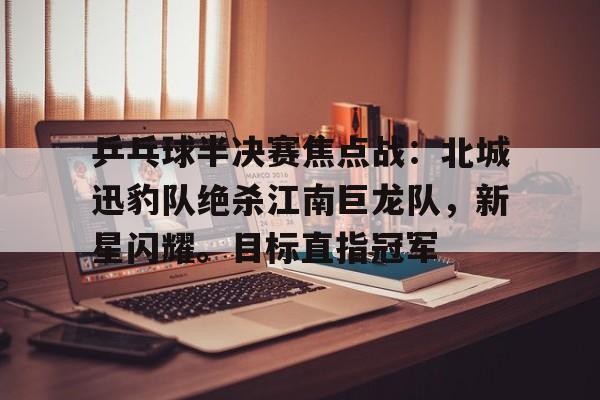 aiyouxi-乒乓球半决赛焦点战：北城迅豹队绝杀江南巨龙队，新星闪耀。目标直指冠军的简单介绍